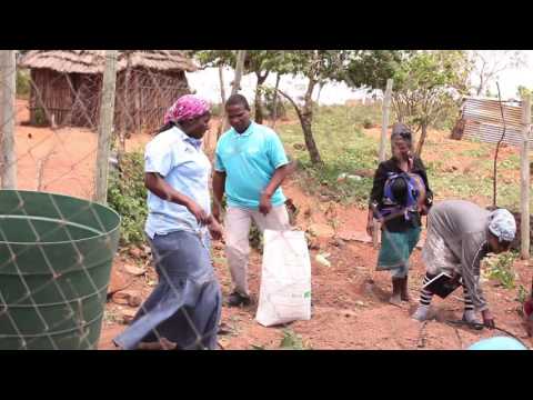 Swaziland: Responding to the drought