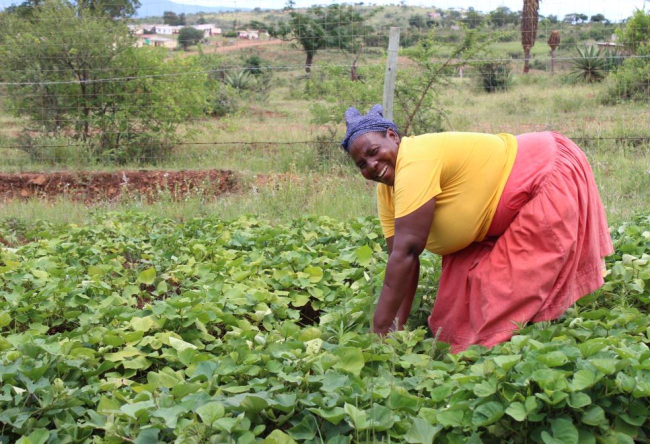 Smallholder farmer in Eswatini 