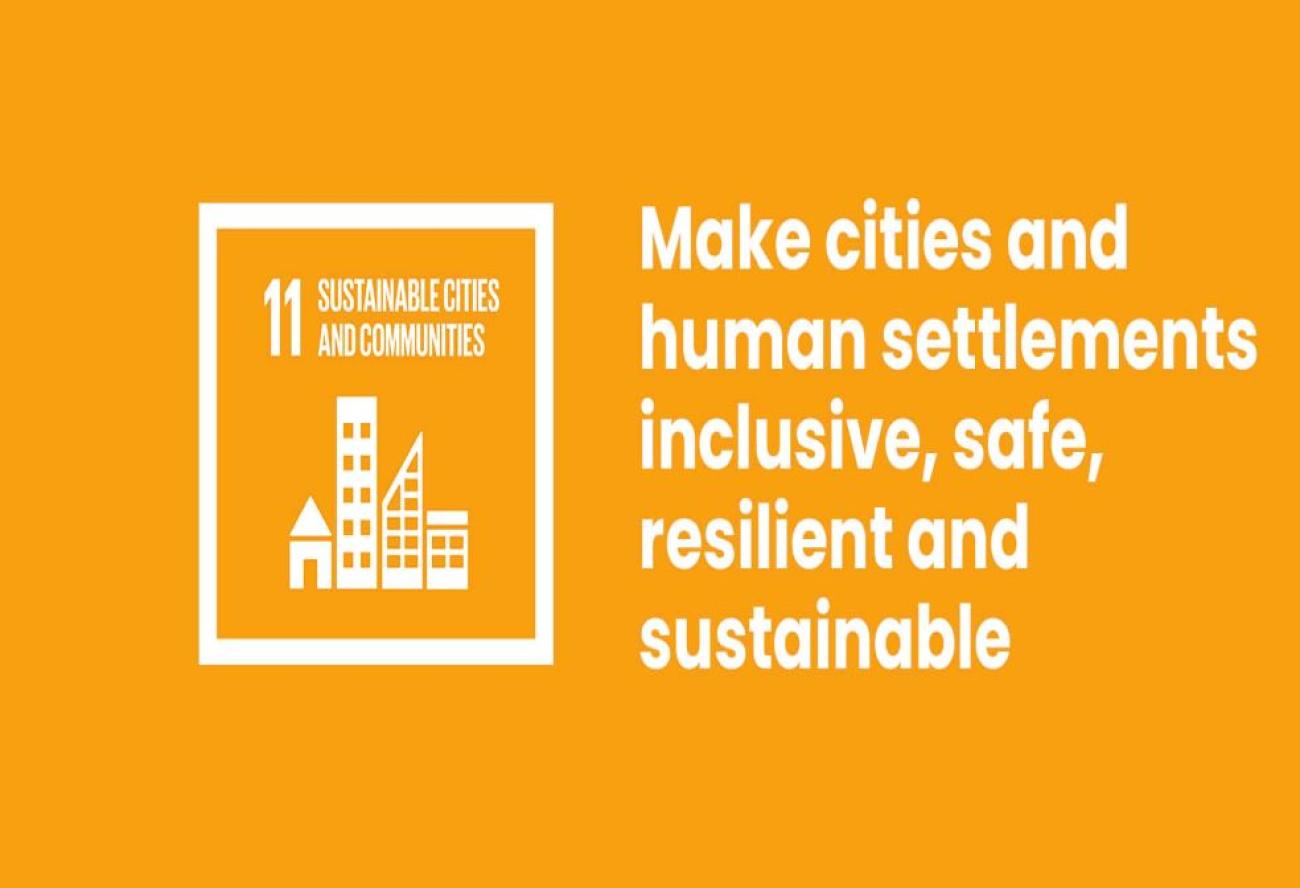 SDG 11 Icon