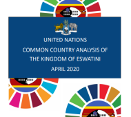 United Nations Common Country Analysis of the Kingdom of Eswatini