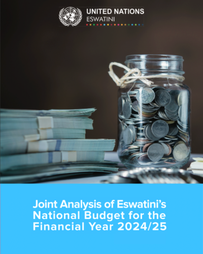 Joint Analysis of the 2024/2025 National Budget of Eswatini 