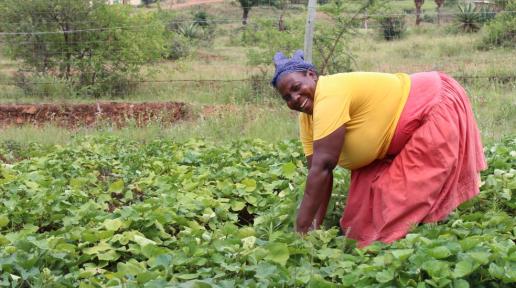 Smallholder farmer in Eswatini 