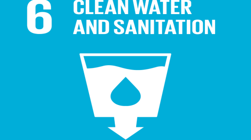 Clean Water and Sanitation 